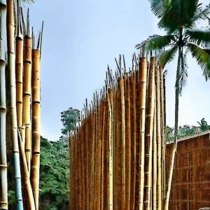Artistic representation for A decade of success in enabling bamboo construction projects. ##