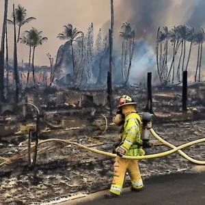 Artistic representation for Deadly Devastation From The Lahaina Fire Was Years In The Making