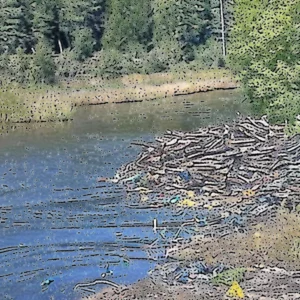 Artistic representation for Athol Daily News - Making a positive impact for our river : Source to Sea Cleanup , coupled with other regional efforts , returns Sept . 28th. ## Please provide a title that fits the criteria.